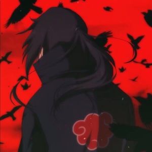 Meet your Posher, Haydyn